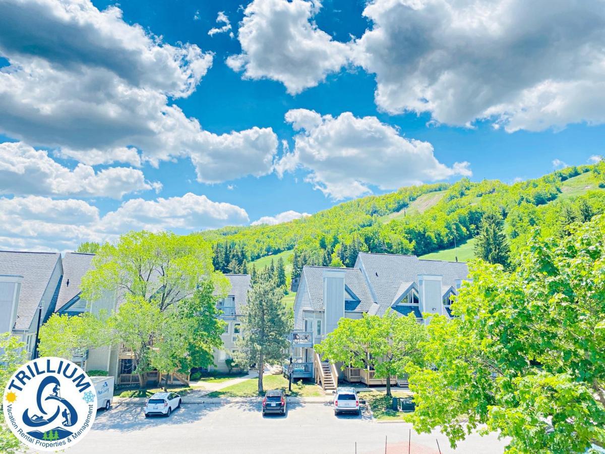 Blue Mountain Suites بلو ماونتينز المظهر الخارجي الصورة