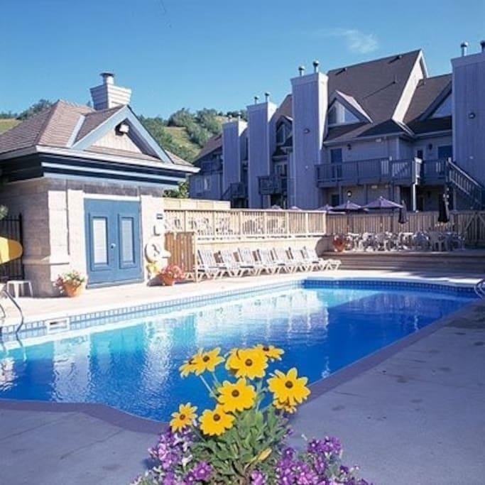 Blue Mountain Suites بلو ماونتينز المظهر الخارجي الصورة