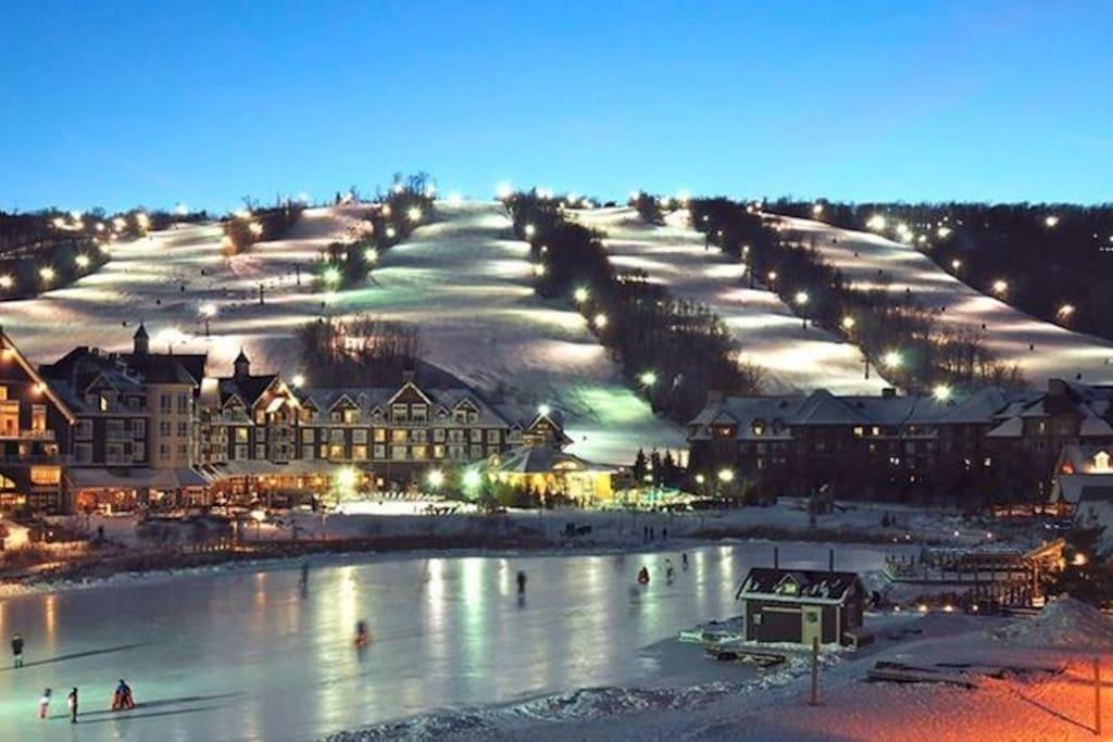 Blue Mountain Suites بلو ماونتينز المظهر الخارجي الصورة