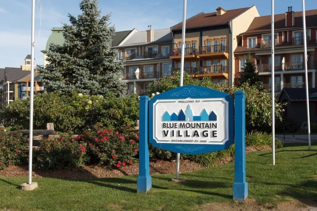 Blue Mountain Suites بلو ماونتينز المظهر الخارجي الصورة